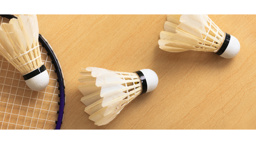 une photo d'une raquette de badminton 